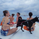 Dog-Friendly boat. Pet-friendly yacht charters