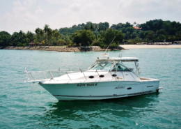 Artemis 1 , Rent a Fishing Yacht in Singapore