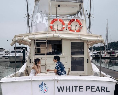 WhitePearl Yacht_Rear view