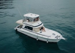 White Pearl Riviera 39 Platinum Flybridge