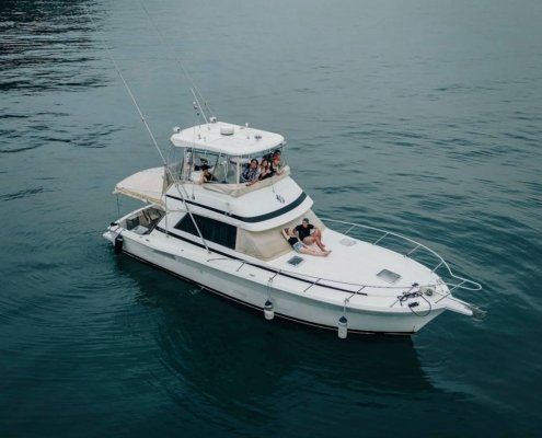 White Pearl Riviera 39 Platinum Flybridge